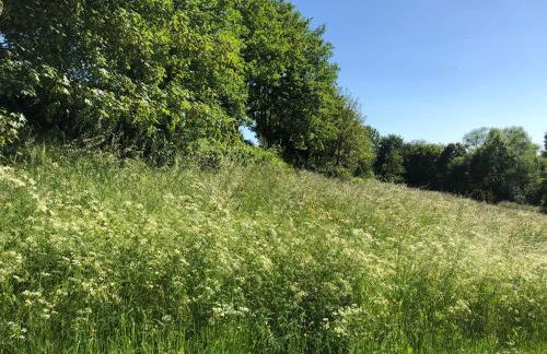 Apartment-47 Fulda - Photo 71