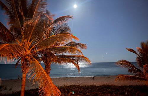 StudioBTS - Lauderdale-By-The-Sea - Photo 1