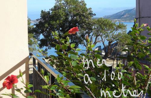 Les galets bleus de Calvi - Foto 25