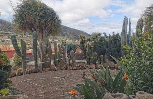 Los Cactus - Photo 8