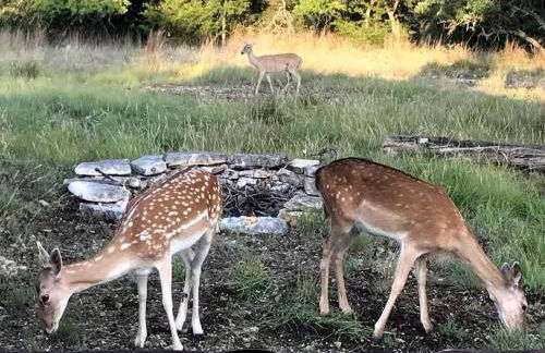 Rustic Off-the-Grid Cabin near Ample Outdoor Recreation in Harper, Texas - Photo 23