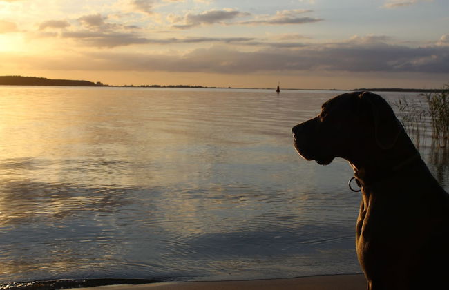 Halbinsel Peenemünde - Foto 64