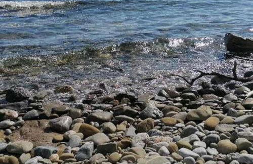 Affitti Brevi Toscana - Villa Charme - Foto 25