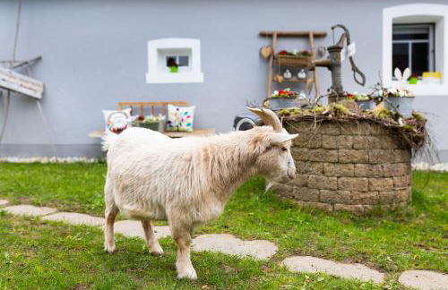 Ferienhaus Annodazumol - Foto 10