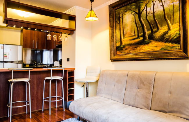 APART PROVIDENCIA SANTA BEATRIZ - Foto 14