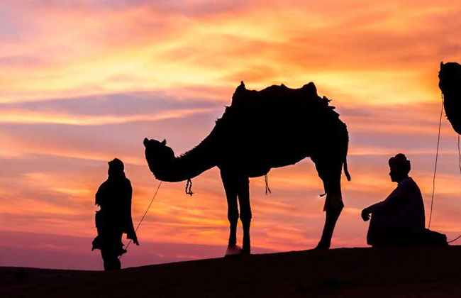 Doha Safari Camel Ride & Sandboarding - Photo 1