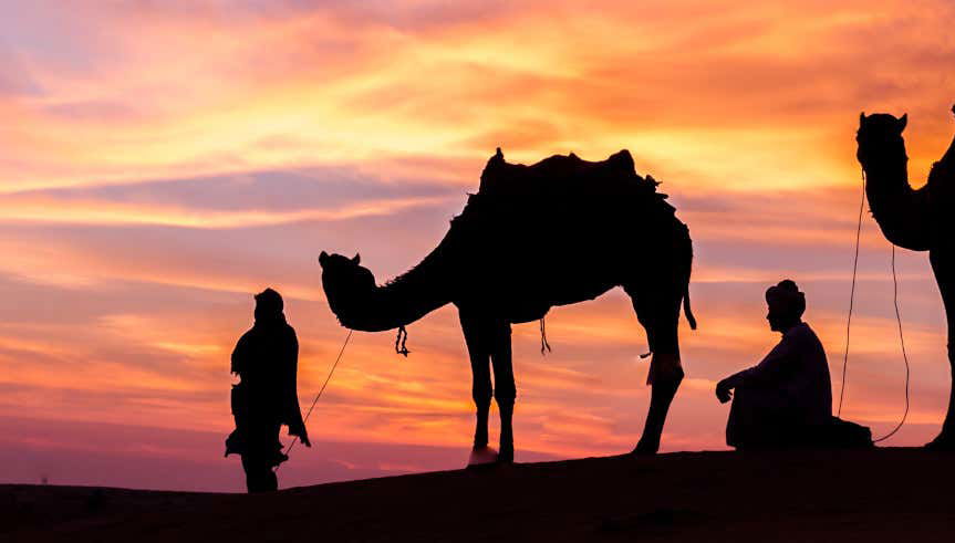 Doha Safari Camel Ride & Sandboarding - Photo 1, Doha Safari Camel Ride & Sandboarding