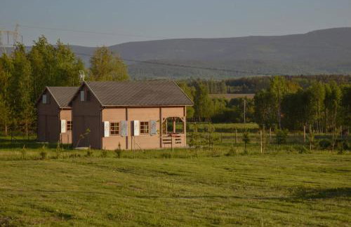 Brzozami Malowane - Photo 17