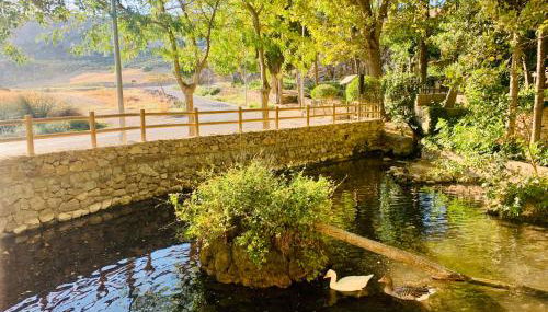 Casita en el Paraíso - Foto 4