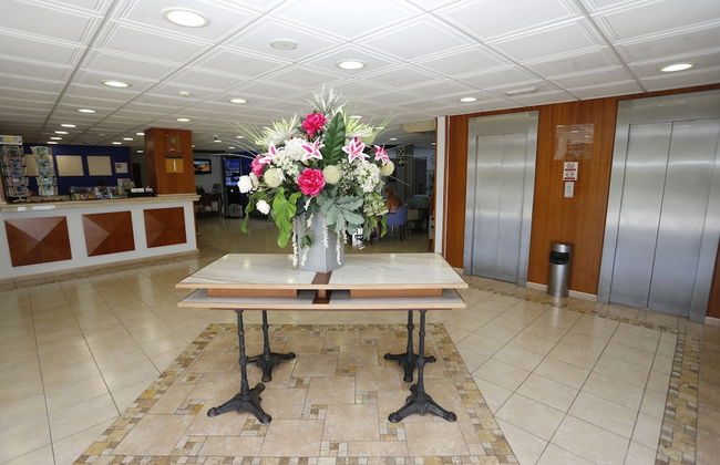 Hotel Andorra - Photo 42