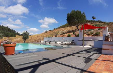 Gecko Pego Longo - Foto 17