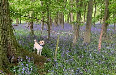 Beautiful Apartment Wendens Ambo - Foto 27