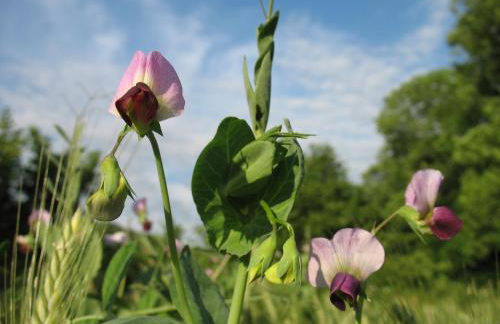 Gîte La Maison du Meunier - Foto 12