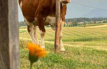 Plattenberger Hof - Photo 6