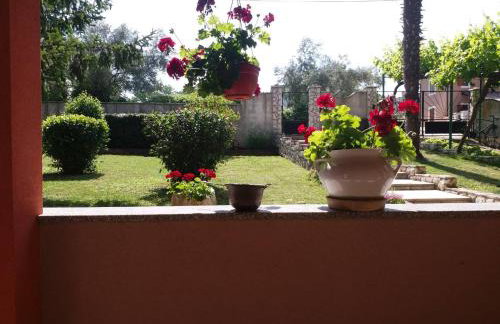 Apartman Sara - Foto 17