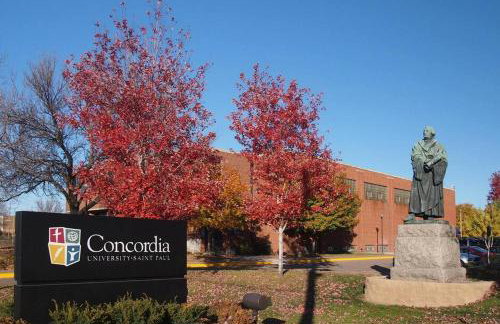 Bright, chic & spacious in the heart of St. Paul by Summit-University with porch and swing chairs - Foto 18