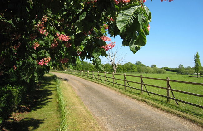 Colston Hall Cottages - Foto 47