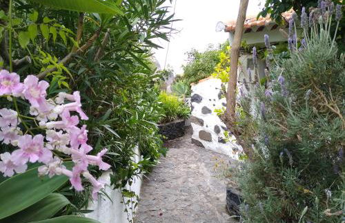 Casa Tigot - Foto 24