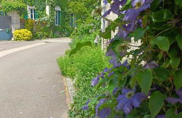 Le Berceau de Carmen - Photo 32