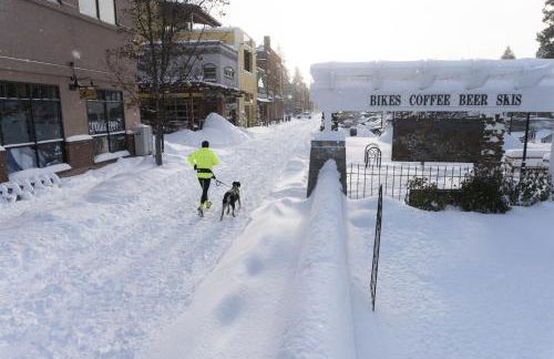 Bluebird Day - Cascadia Craftsman - Foto 25