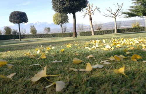 Agriturismo Casamia - Foto 4