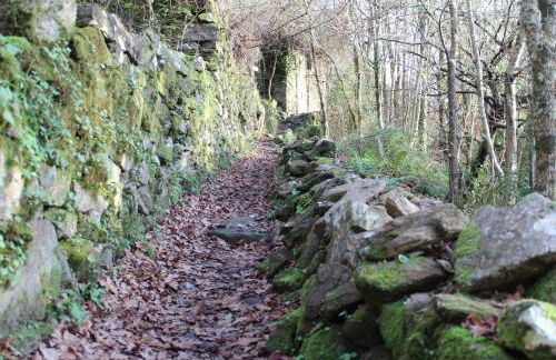 Apartamentos Pantón Ribeira Sacra - Foto 32