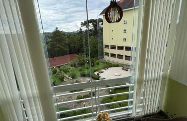 Canto araucarias - Foto 23