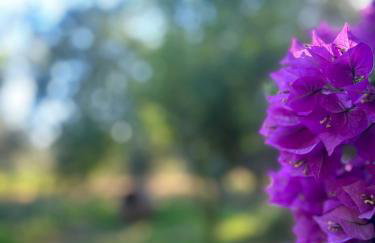 A casa d Irene - Photo 1