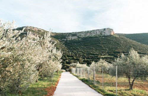 Elaia Rest House Retreat in nature - Foto 57