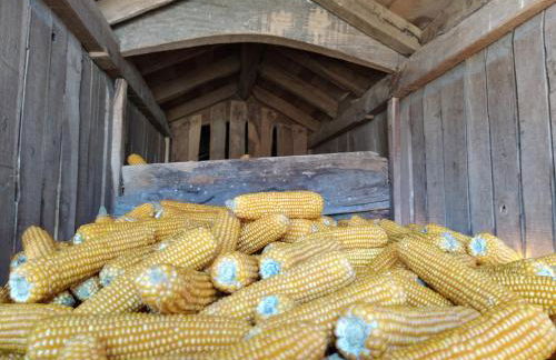 Aldeia de Moura Morta - Foto 25