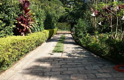 Casa de Araras - Foto 15