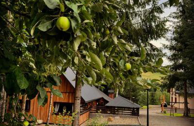 Osada Modrzewiowe Wzgórze Bieszczady - Foto 71