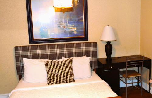 Urban Oasis - Foto 10