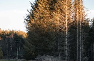 The Bothy at Coneloch - Foto 18