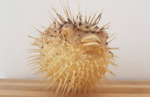 Studio apartment Laura || - Photo 4