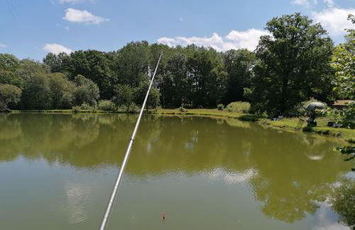 Le nid dans le chêne - Photo 26