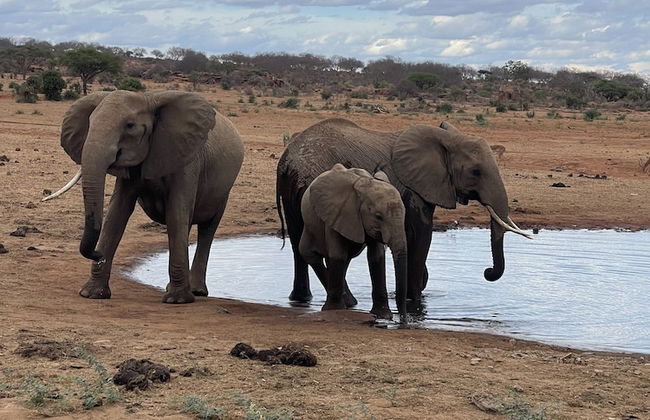 Caster JKIA Homes - Foto 76