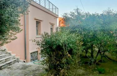 Fella Chalkida - Foto 34