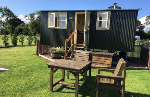 The Hawthorn Shepherds Hut - Photo 6