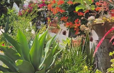 Villa Marrachinho - Foto 14