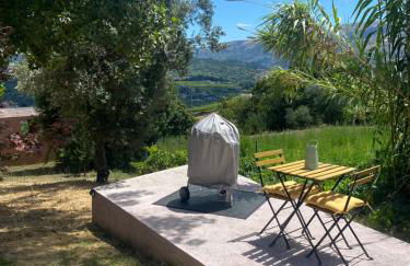 Douro Wellspring - Photo 3