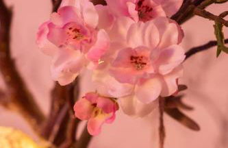 Unser Studio-Apartment "Wohlfühloase" - Foto 17