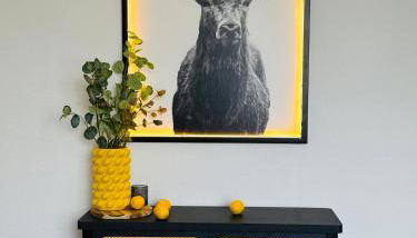 Black&Yellow Apartment Bielefeld 24h Check in WLAN Parkplatz ÖPNV - Foto 3