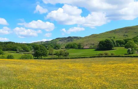 Ling Fell Cottage - Foto 26