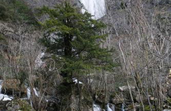 Casa Rural El Abuelo Luis - Foto 27