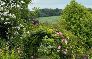 Walled Garden Cottage by Vineyard - Foto 20