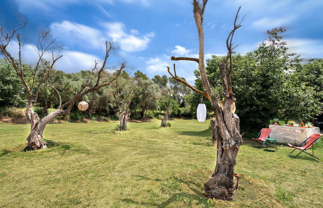 Can Muní - Pins - Foto 71