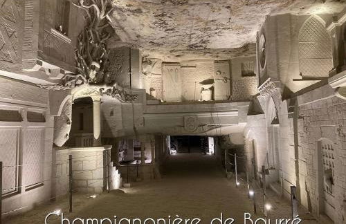 [Aucun supplément] L'Harmonie - 15 min de Beauval - Foto 36