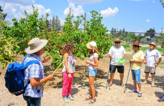 Tzionis Petroktisto Holiday Stonehouse - Photo 25