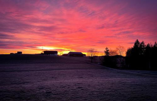 Ferienwohnung Hintermoos - Foto 62